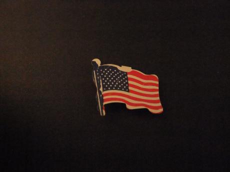 Amerikaanse vlag met sterren van de staten (Green Duck) clip
